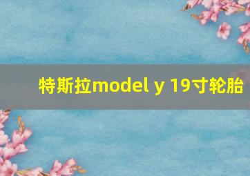 特斯拉model y 19寸轮胎